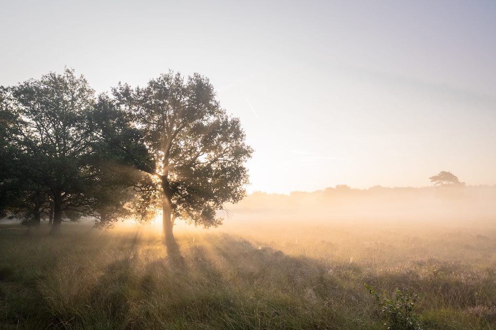 One Day You Wake Up - Health and wellness article