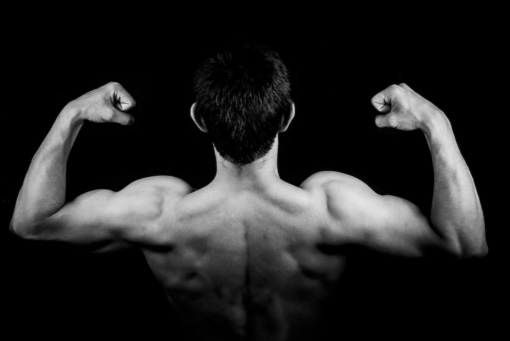 Breaking Down The Science Behind Muscle Growth - Health and wellness article